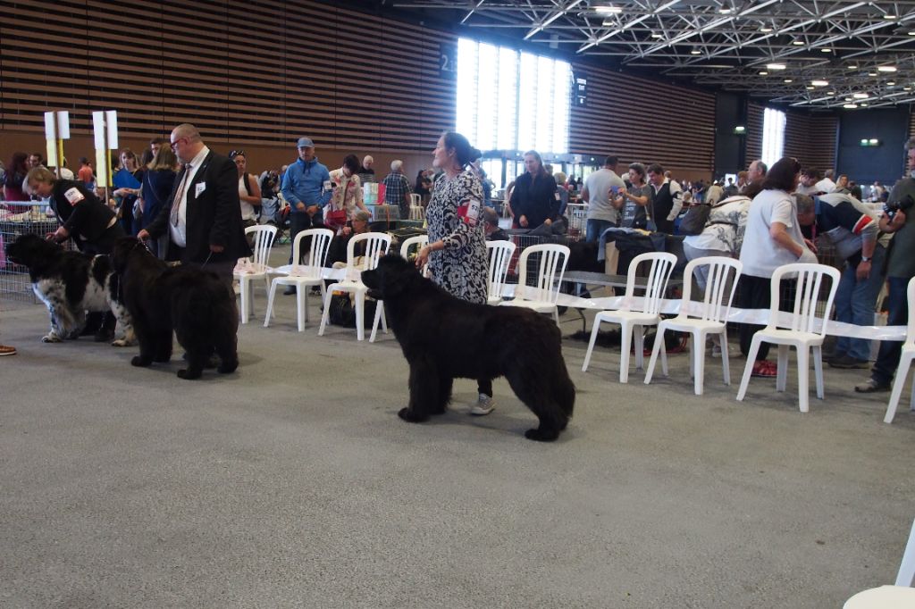 expo de Lyon 23 avril 2018